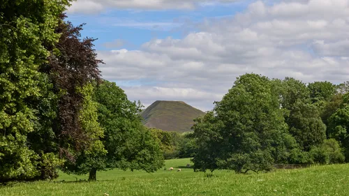 This is a landscape photograph featuring Bunster Hill as the main subject, rising prominently in the background beyond a stretch of open fields. The scene is set in the rural heart of the Peak District in England, specifically the Dovedale area, and is taken during a bright summer afternoon. Lush green trees frame the foreground and sides of the image, enhancing the natural beauty typical of this famous region in the United Kingdom. The well-known rolling fields and countryside of the Peak District are evident, with grazing sheep dotting the meadow, emphasizing the rural charm and tranquility of this picturesque English landscape.